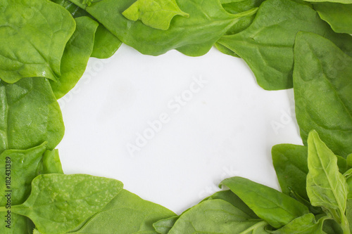 Brazilian Spinach Leaves Frame