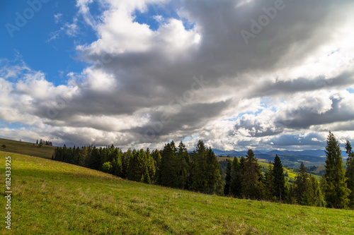 tree on the field in the mountains beautiful landscape 