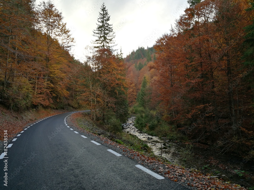 autumn road 3
