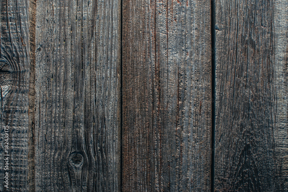 Fototapeta premium the texture of the wood