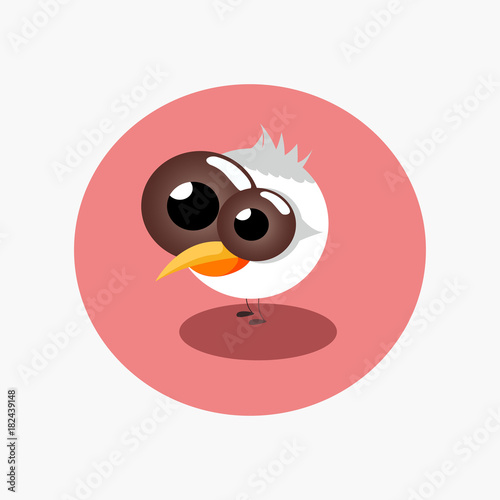 vector cartoon of bird