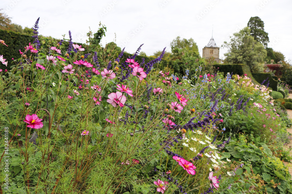 Traditional flower border in garden Traditional flower border in garden