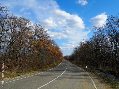 Empty road through autumn forest
