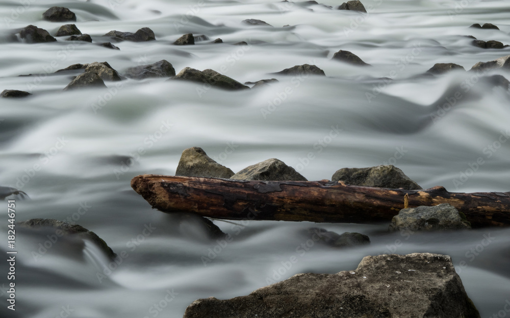 Fototapeta premium stem of a tree hanging between rocks in a river