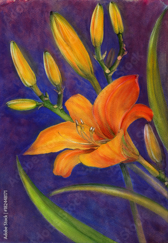 Flowers, buds and leaves of a yellow lily. Watercolor. Floral motifs.  Use printed materials, signs, items, websites, maps, posters, postcards, packaging.