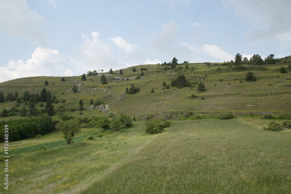 Paesaggio nella valle al Monte Della Selva, Parco Nazionale Gran Sasso e Monti della Laga, inizio dell'estate 