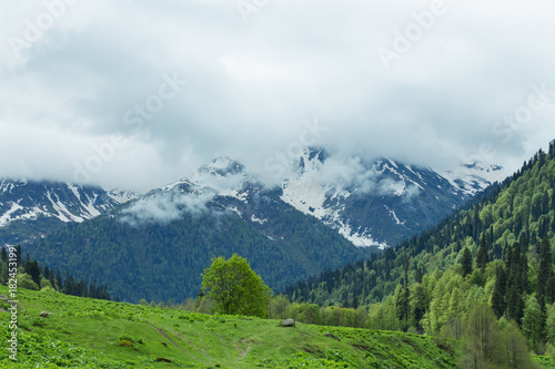  mountains and forests of Abkhazia © Evgenia Tiplyashina