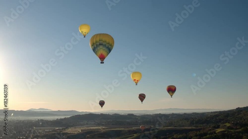 Hot air balloons flying in scenic Napa Valley