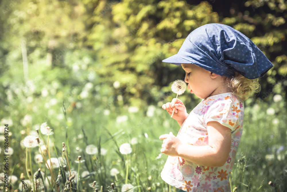 Cute baby girl blowing dandelion in summer park among tall grass in summer sunny day with sunlight Cute baby girl blowing dandelion in summer park among tall grass in summer sunny day with sunlight