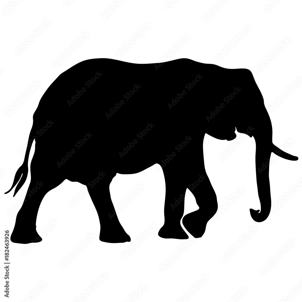 black and white vector elephant silhouette Stock Vector | Adobe Stock