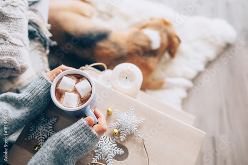 Woman hands ith cup of hot chocolate close up image, cozy home, sleeping dog, christmas time