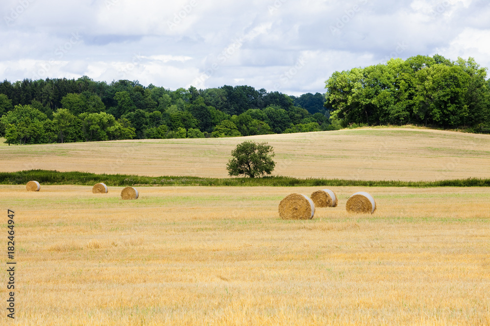 Field with Bales of Hay.