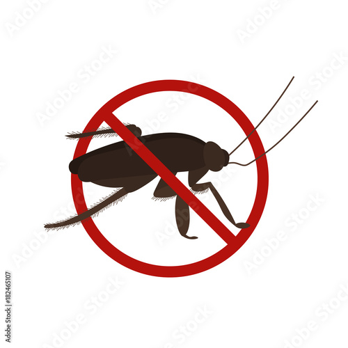 Flat simple cockroach isolated on white background. Brown color outline icon of small insect in the cartoon style. Vector illustration of anti-insect pests. Image with dirty pest a simple style.