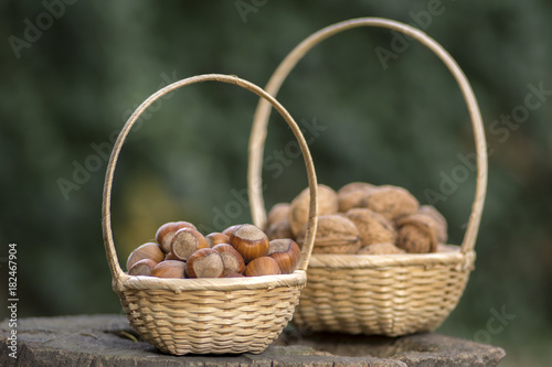 Hazelnuts and walnuts in hard shells, two piles in two small wicker baskets on wooden stump