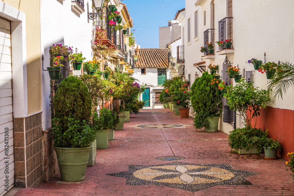 Typical Andalusian streets. Flowers pots on the street in Estepona, Andalusia, Spain