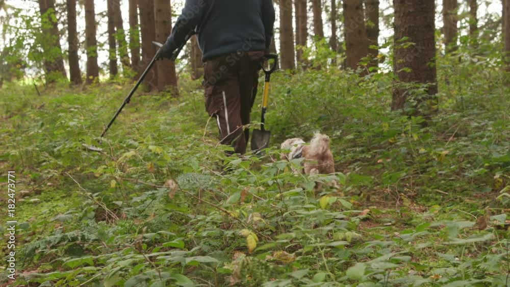 man treasure hunting forest long shot man treasure hunting forest long shot