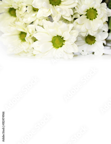 White flowers on a white background