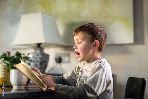 School boy reading book in the living room photo