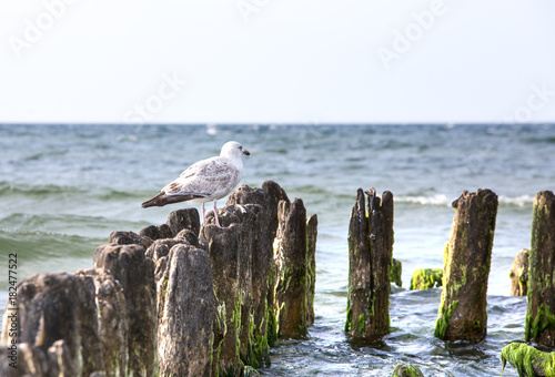 The beach in Ustka, Baltic Sea, Poland. photo