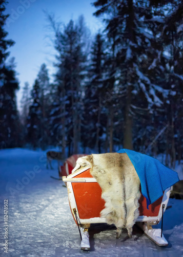 Reindeer sledding in winter forest at night in Rovaniemi © Roman Babakin