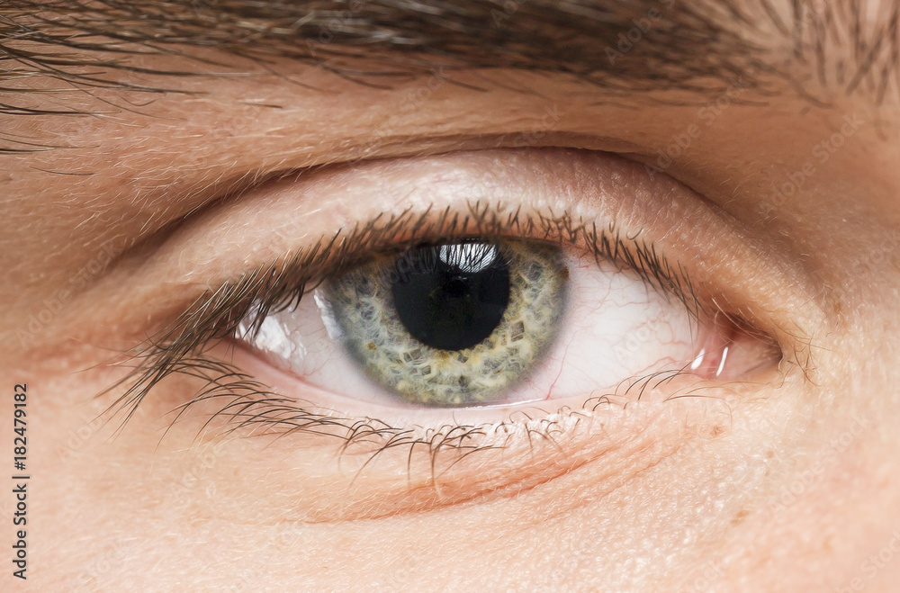 Fototapeta premium eye macro shot