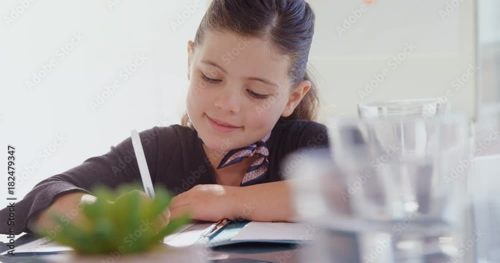 Girl as business executive writing in notepad 
