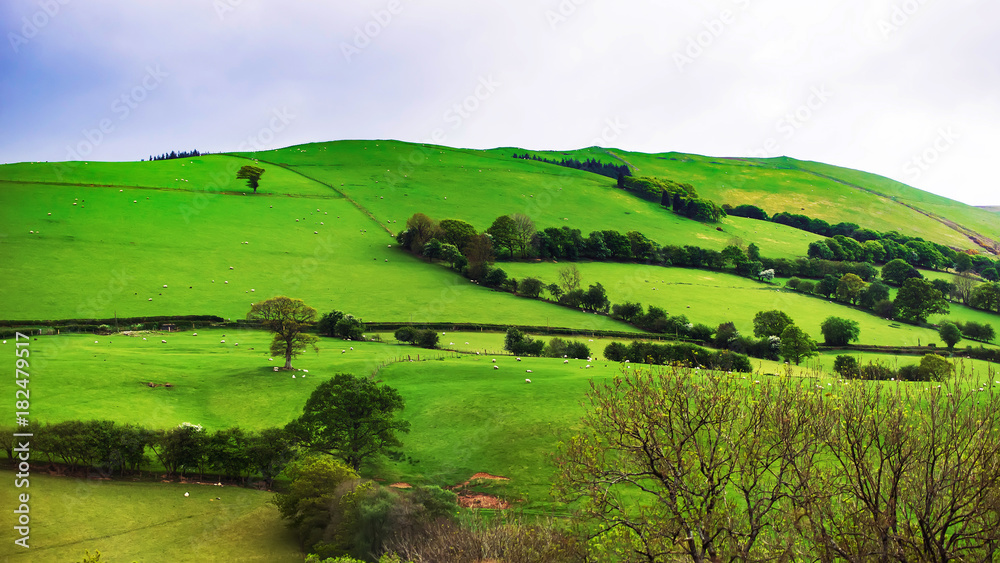 Green hills in Brecon Beacons in South Wales UK