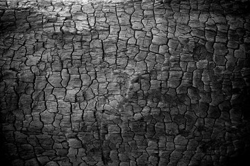 Fototapete Brennholz Textur Verbrannte Holzstruktur  © bohbeh
