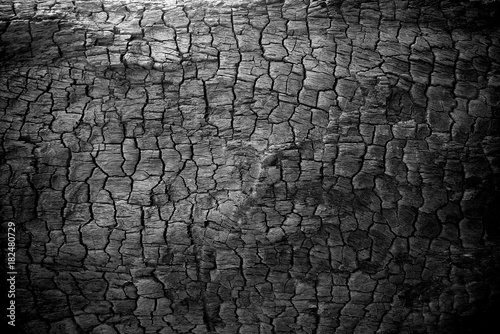 Burnt wood texture