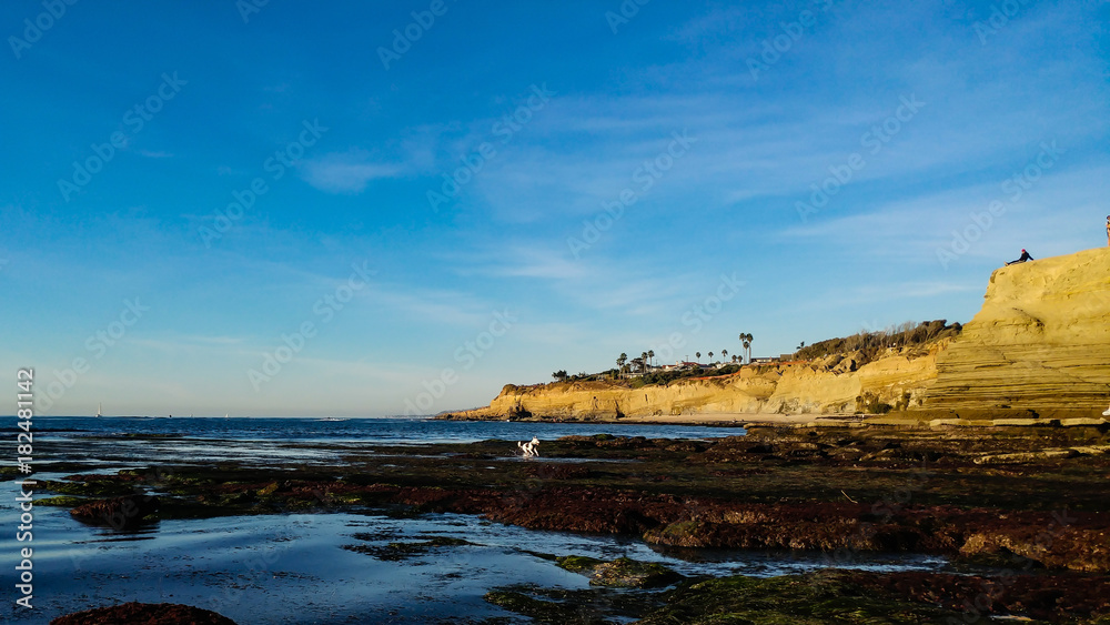 Minus Low Tide at Sunset Cliffs in San Diego Califronia