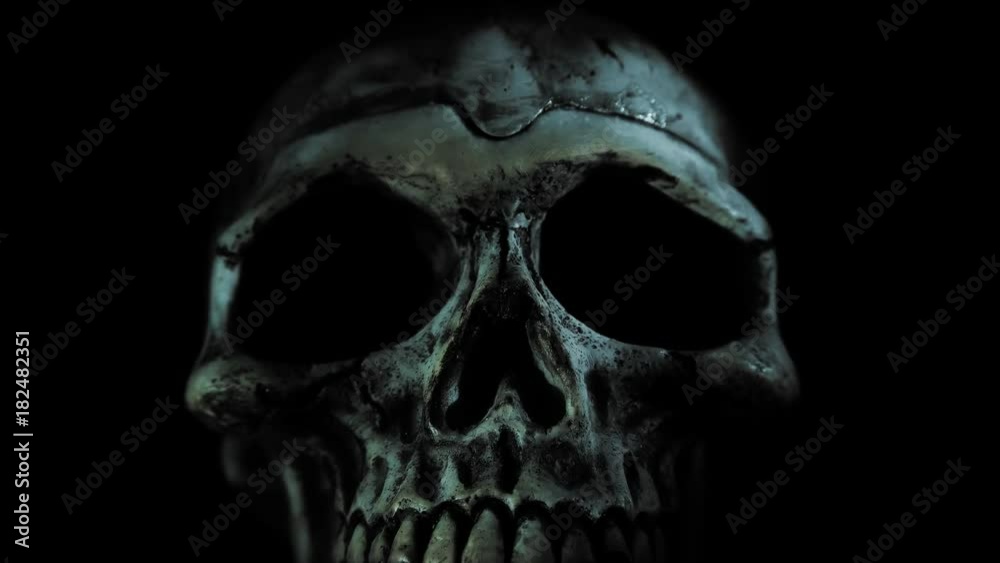 a human skull comes out of the dark