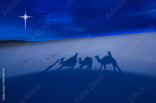 Canvas-taulu Camels and riders in the desert at night
