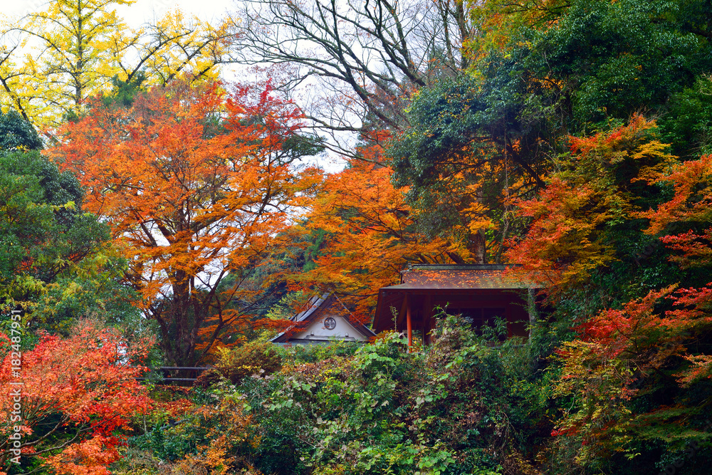 竜門の滝