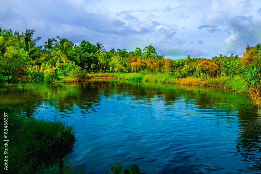 Fototapeta premium Forest on the lake