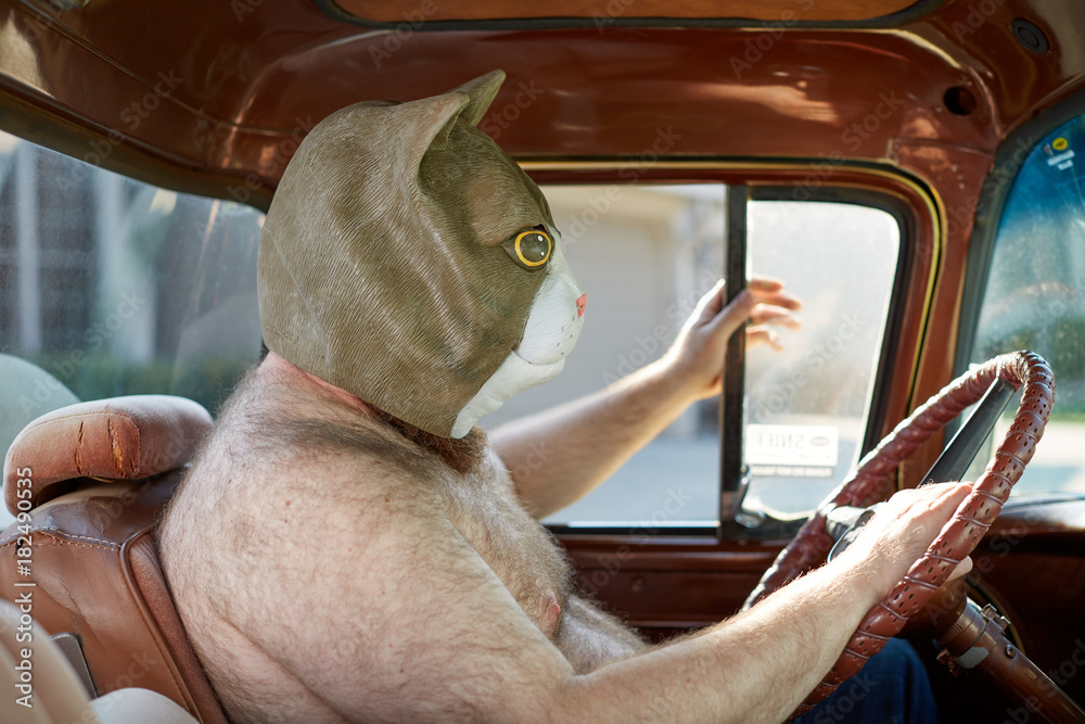 Shirtless man wearing weird cat mask while driving Stock Photo | Adobe Stock
