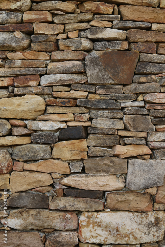 Fototapeta premium Rock Wall - Vertical