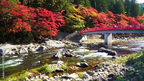 香嵐渓の美しい秋景色