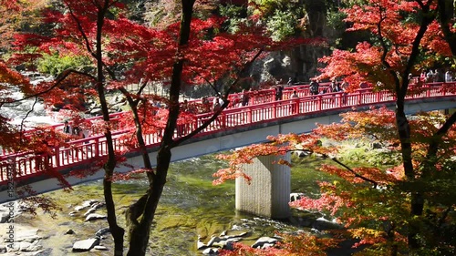 香嵐渓の美しい秋景色