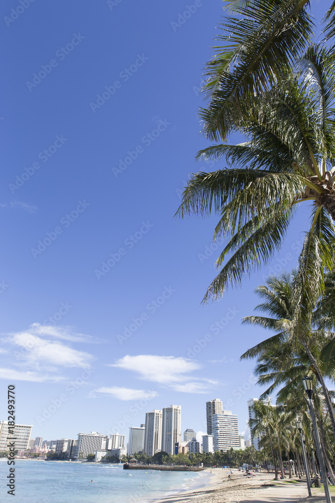Fototapeta premium ワイキキの風景