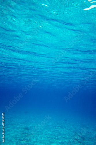 Underwater blue ocean background in sea © Pakhnyushchyy