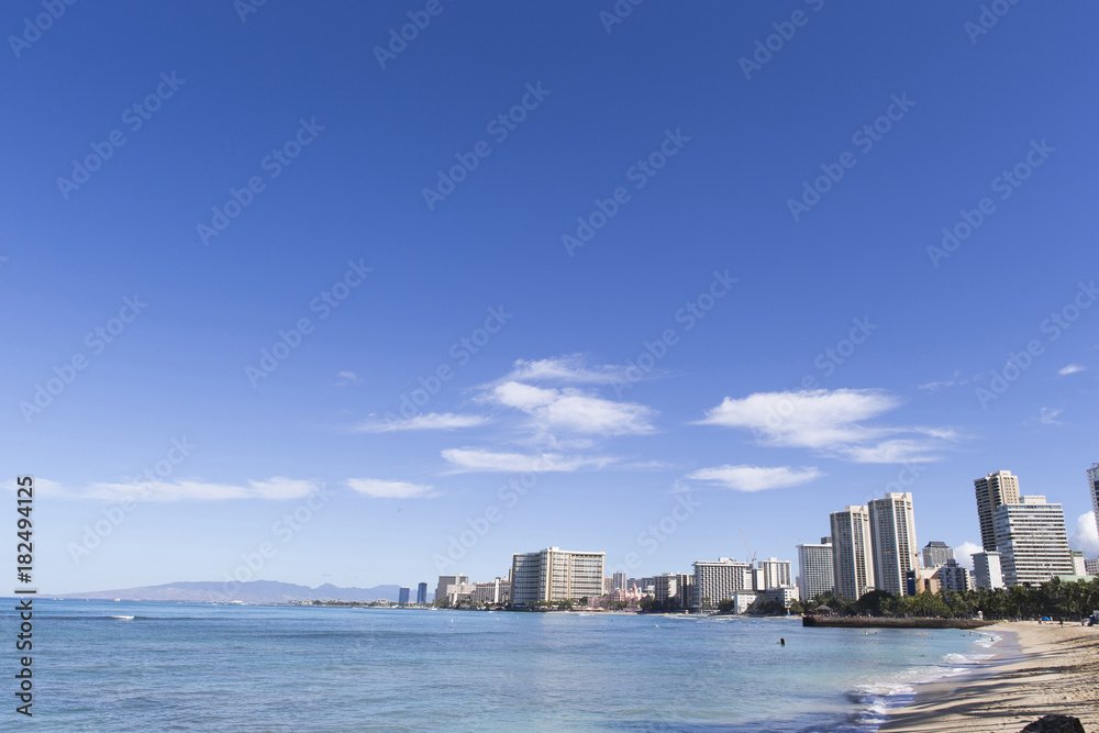 Fototapeta premium ワイキキビーチ