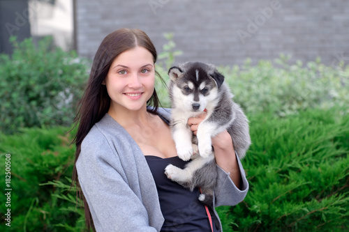 Young women holds her best friend little pet puppy of husky in her arms. love for dogs