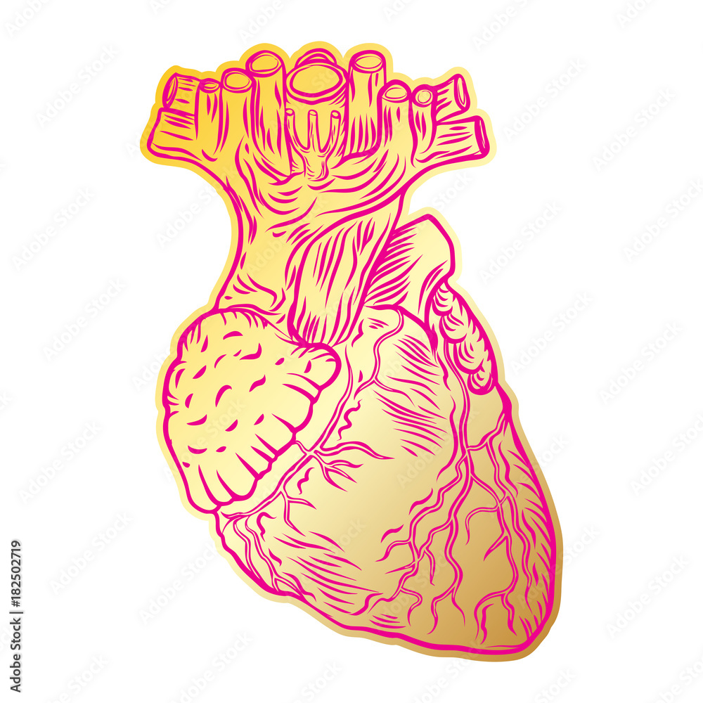 Valentine's day anatomical human heart. Print on t shirts concept. Sticker, pin or patch. flesh tattoo hand drawing idea. Vector. Valentine's day anatomical human heart. Print on t shirts concept. Sticker, pin or patch. flesh tattoo hand drawing idea. Vector.