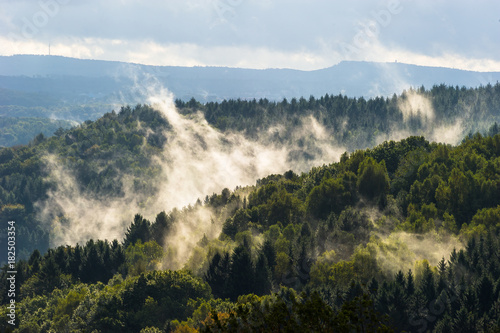 Aufsteigender Nebel   ber dem Wald