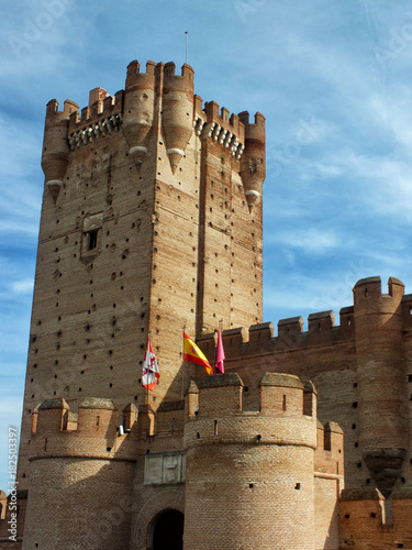 Castillo de la Mota en Medina del Campo photo