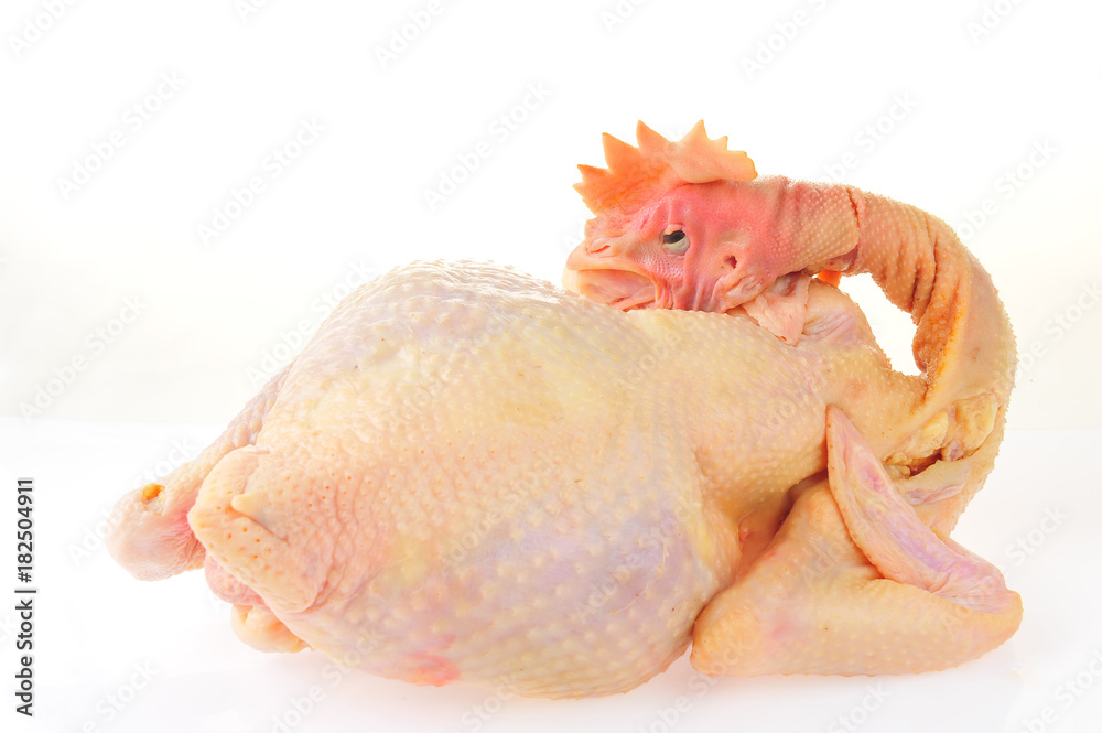 Naklejka premium Chicken isolated on a white background