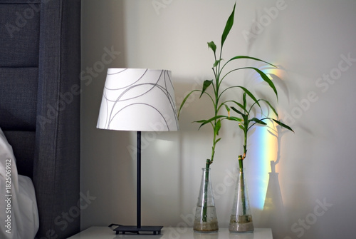 Bamboo chutes with colourful rainbow refraction on bedroom wall photo