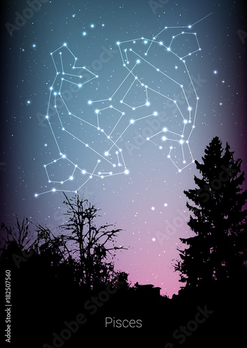 Pisces zodiac constellations sign with forest landscape silhouette on beautiful starry sky with galaxy and space behind. Pisces horoscope symbol constellation on deep cosmos background. Card design