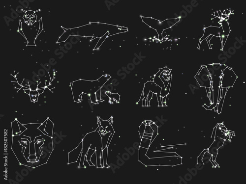 Collection of animals constellation on dark sky. Wild animals with line and stars, horoscope style. Constellation animals for cards, elephant, owl, wolf and other animal