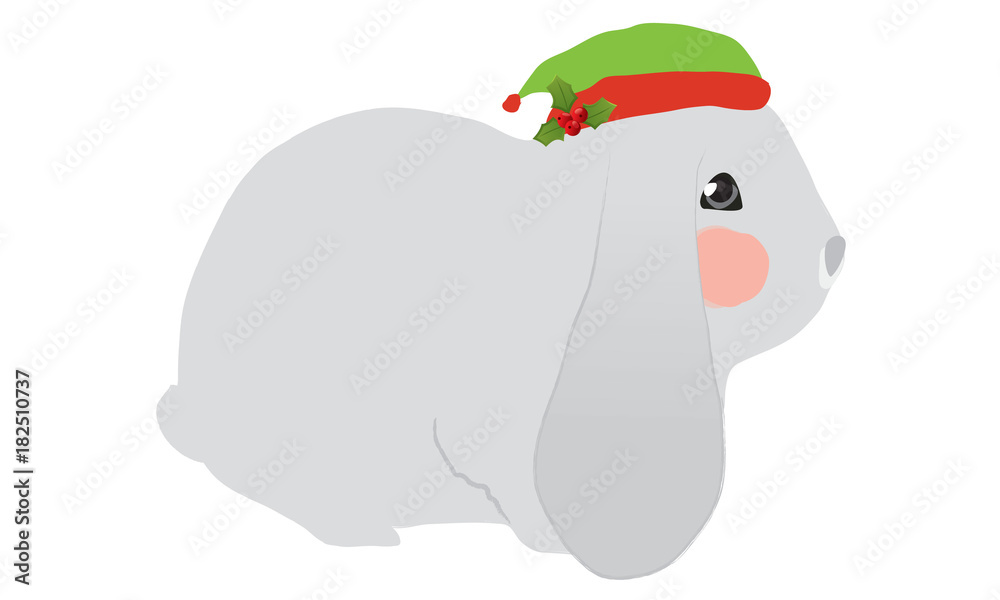 Fototapeta premium Cute rabbit for Christmas